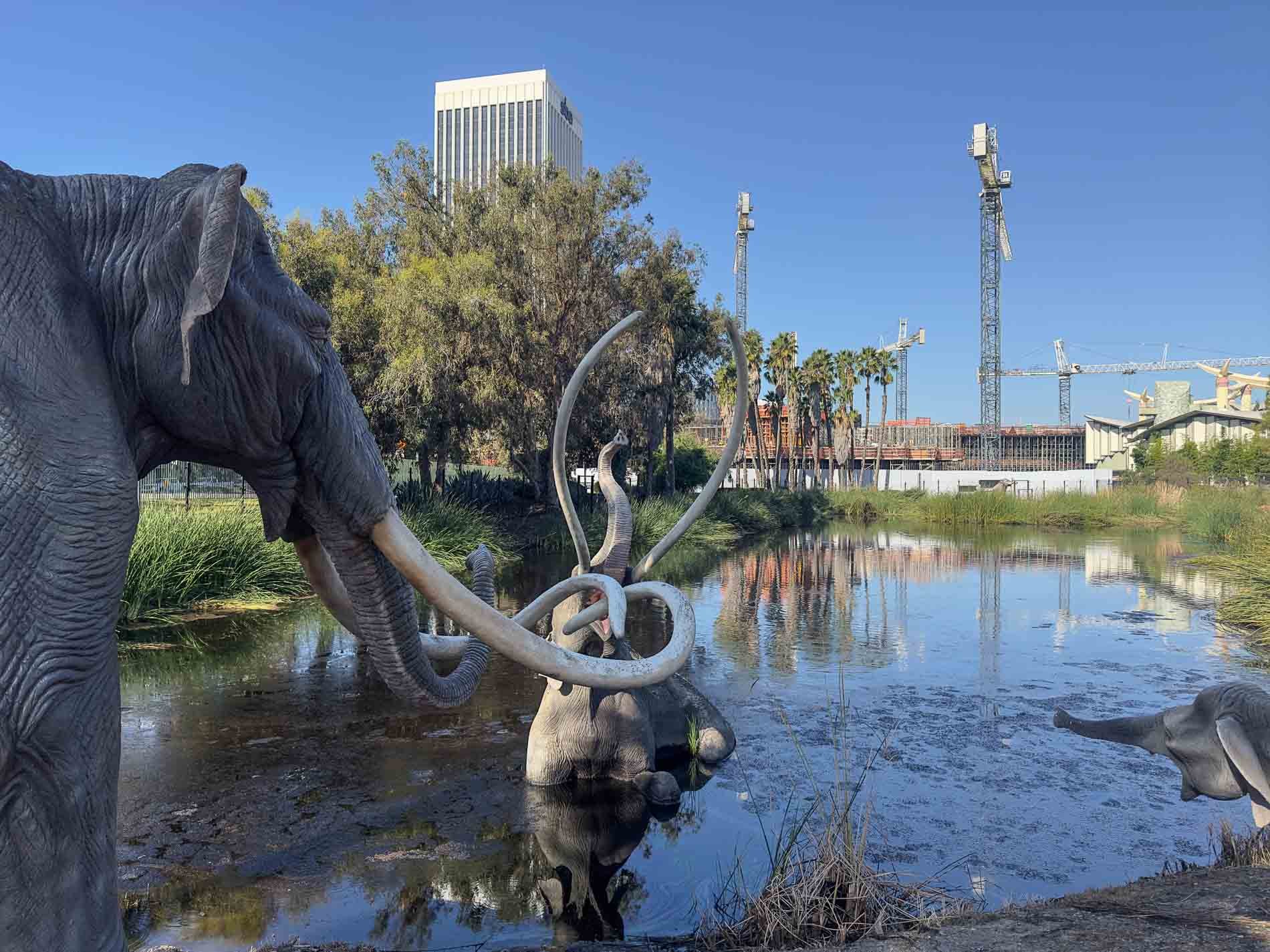 La Brea Tar Pits And Museum Tour