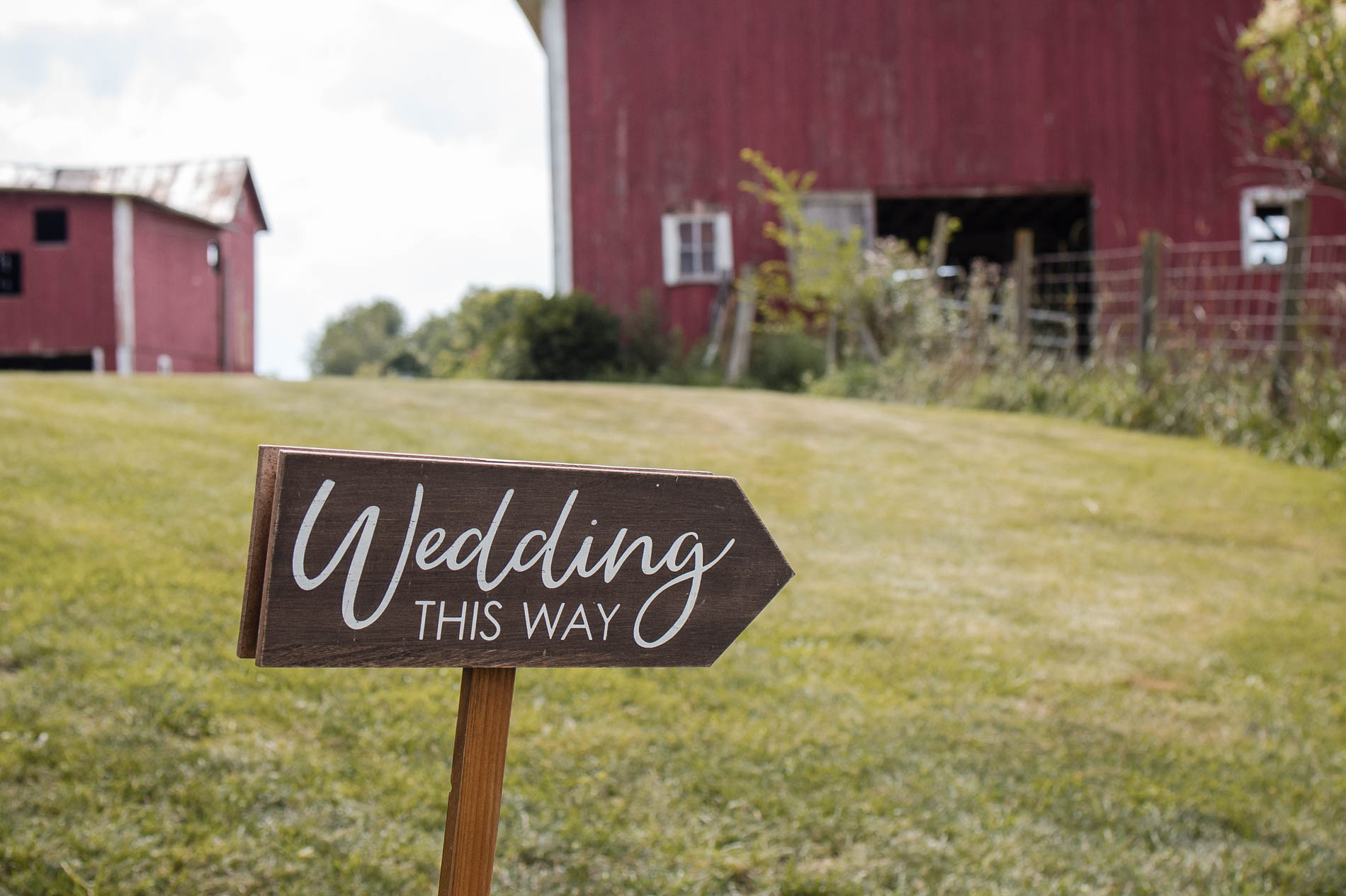 Backing up your wedding photos